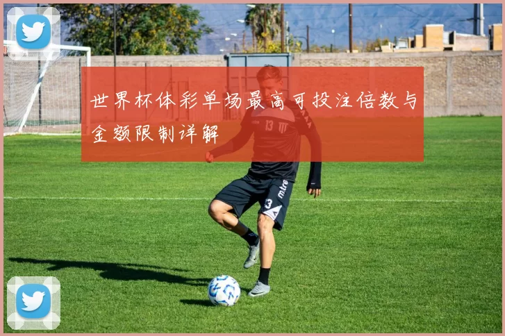 世界杯体彩单场最高可投注倍数与金额限制详解