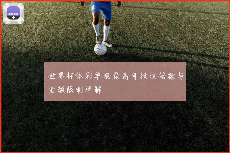 世界杯体彩单场最高可投注倍数与金额限制详解