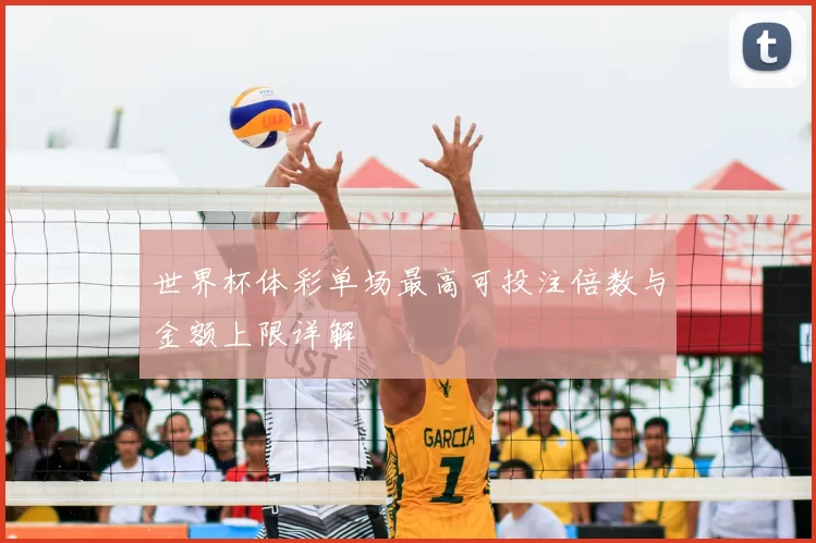 世界杯体彩单场最高可投注倍数与金额上限详解
