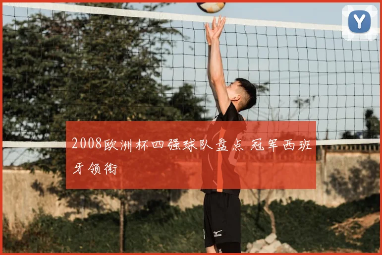 2008欧洲杯四强球队盘点 冠军西班牙领衔