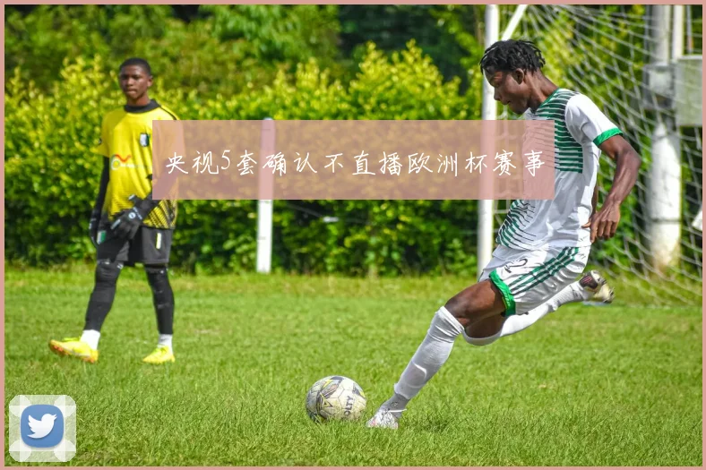 央视5套确认不直播欧洲杯赛事