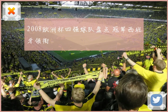 2008欧洲杯四强球队盘点 冠军西班牙领衔