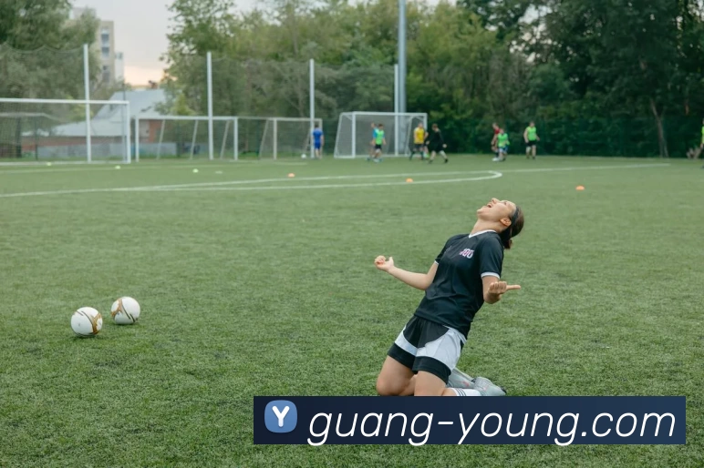 云开体育体育官网登录平台生态图