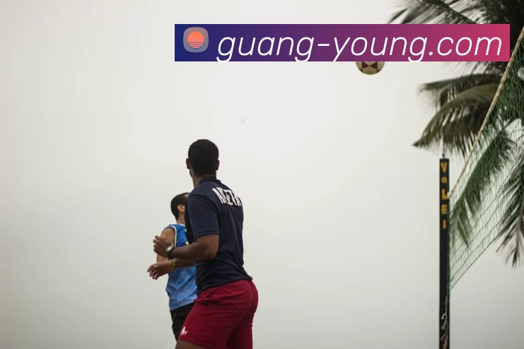 云开体育体育官网登录APP 封面图